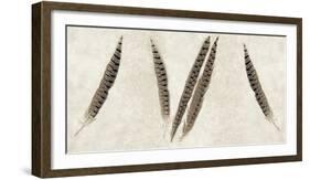 Feather Panel #2-Alan Blaustein-Framed Photographic Print