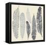 Feather Set-Katyau-Framed Stretched Canvas