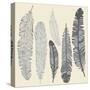 Feather Set-Katyau-Stretched Canvas