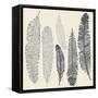 Feather Set-Katyau-Framed Stretched Canvas