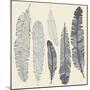 Feather Set-Katyau-Mounted Art Print