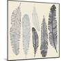 Feather Set-Katyau-Mounted Art Print