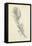 Feather Sketch I-Ethan Harper-Framed Stretched Canvas