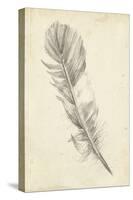 Feather Sketch I-Ethan Harper-Stretched Canvas