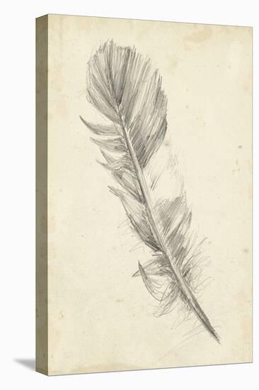 Feather Sketch I-Ethan Harper-Stretched Canvas