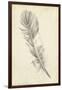 Feather Sketch I-Ethan Harper-Framed Art Print