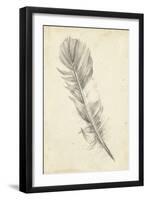 Feather Sketch I-Ethan Harper-Framed Art Print