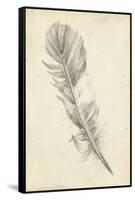 Feather Sketch I-Ethan Harper-Framed Stretched Canvas