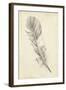 Feather Sketch I-Ethan Harper-Framed Art Print