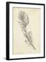 Feather Sketch I-Ethan Harper-Framed Art Print