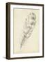 Feather Sketch II-Ethan Harper-Framed Art Print