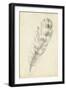 Feather Sketch II-Ethan Harper-Framed Art Print