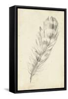 Feather Sketch II-Ethan Harper-Framed Stretched Canvas