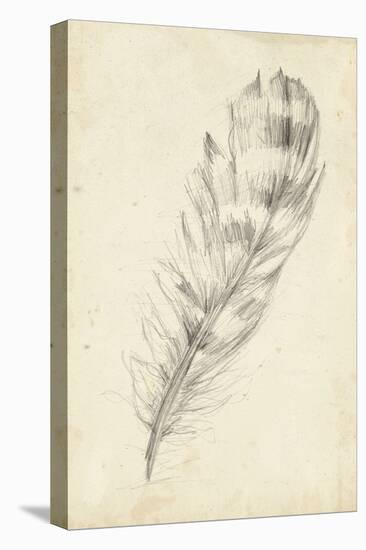 Feather Sketch II-Ethan Harper-Stretched Canvas