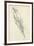 Feather Sketch III-Ethan Harper-Framed Art Print