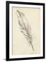 Feather Sketch III-Ethan Harper-Framed Art Print