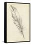 Feather Sketch III-Ethan Harper-Framed Stretched Canvas