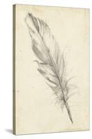 Feather Sketch III-Ethan Harper-Stretched Canvas