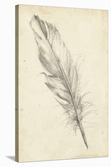 Feather Sketch III-Ethan Harper-Stretched Canvas