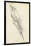 Feather Sketch III-Ethan Harper-Framed Art Print