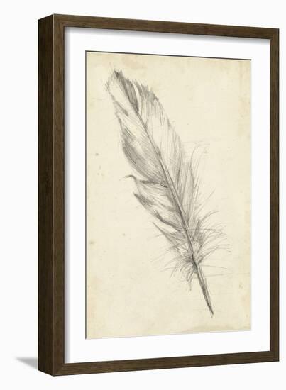 Feather Sketch III-Ethan Harper-Framed Art Print