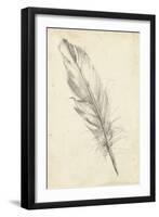 Feather Sketch III-Ethan Harper-Framed Art Print