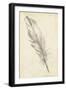 Feather Sketch III-Ethan Harper-Framed Art Print