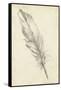 Feather Sketch III-Ethan Harper-Framed Stretched Canvas