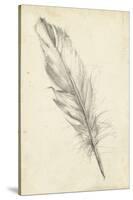 Feather Sketch III-Ethan Harper-Stretched Canvas