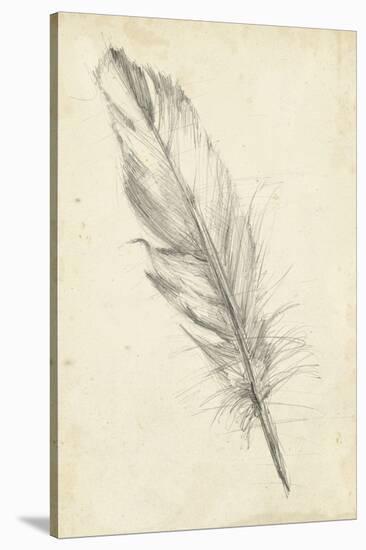 Feather Sketch III-Ethan Harper-Stretched Canvas