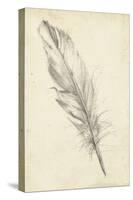 Feather Sketch III-Ethan Harper-Stretched Canvas