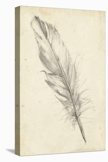 Feather Sketch III-Ethan Harper-Stretched Canvas