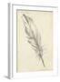 Feather Sketch III-Ethan Harper-Framed Art Print