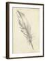 Feather Sketch III-Ethan Harper-Framed Art Print