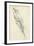 Feather Sketch III-Ethan Harper-Framed Art Print