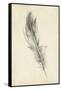 Feather Sketch IV-Ethan Harper-Framed Stretched Canvas