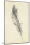 Feather Sketch IV-Ethan Harper-Mounted Art Print