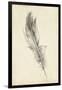 Feather Sketch IV-Ethan Harper-Framed Art Print