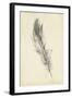 Feather Sketch IV-Ethan Harper-Framed Art Print