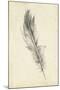 Feather Sketch IV-Ethan Harper-Mounted Art Print