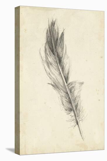 Feather Sketch IV-Ethan Harper-Stretched Canvas