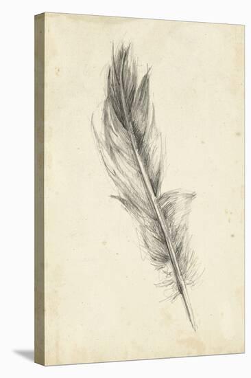 Feather Sketch IV-Ethan Harper-Stretched Canvas
