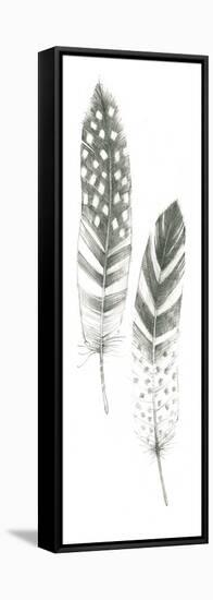 Feather Sketches VIII-Avery Tillmon-Framed Stretched Canvas