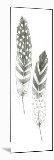 Feather Sketches VIII-Avery Tillmon-Mounted Art Print
