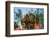 Feather Star on Reef Roof, Comanthina Schlegeli, Marovo Lagoon, the Solomon Islands-Reinhard Dirscherl-Framed Photographic Print