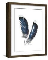 Feather Study 4-Arnie Fisk-Framed Art Print