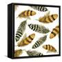 Feather Toss-Gregory Gorham-Framed Stretched Canvas
