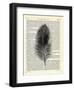 Feather-Marion Mcconaghie-Framed Art Print