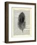 Feather-Marion Mcconaghie-Framed Art Print