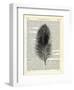 Feather-Marion Mcconaghie-Framed Art Print